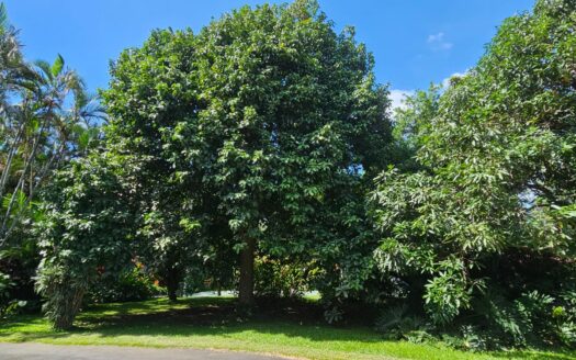 ¡USO DE SUELO MIXTO! Hermosa quinta en venta en El Roble con amplio terreno de 8.963 m2 y linda casa de una planta. COD. 138838