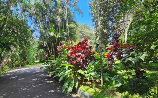 ¡USO DE SUELO MIXTO! Hermosa quinta en venta en El Roble con amplio terreno de 8.963 m2 y linda casa de una planta. COD. 138838