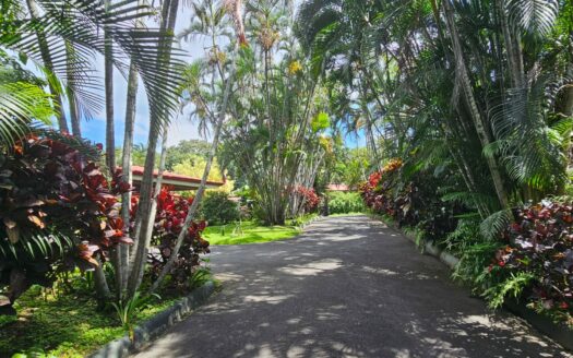 ¡USO DE SUELO MIXTO! Hermosa quinta en venta en El Roble con amplio terreno de 8.963 m2 y linda casa de una planta. COD. 138838