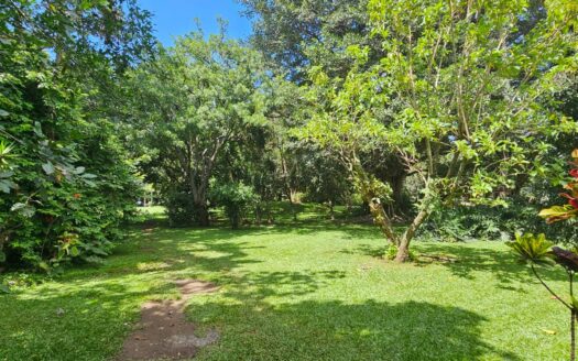 ¡USO DE SUELO MIXTO! Hermosa quinta en venta en El Roble con amplio terreno de 8.963 m2 y linda casa de una planta. COD. 138838