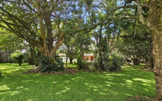 ¡USO DE SUELO MIXTO! Hermosa quinta en venta en El Roble con amplio terreno de 8.963 m2 y linda casa de una planta. COD. 138838