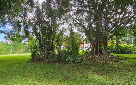 ¡USO DE SUELO MIXTO! Hermosa quinta en venta en El Roble con amplio terreno de 8.963 m2 y linda casa de una planta. COD. 138838