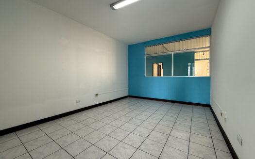 Oportunidad de Propiedad ideal para Casa, Oficinas o Comercio en Guadalupe, Goicoechea COD 139105
