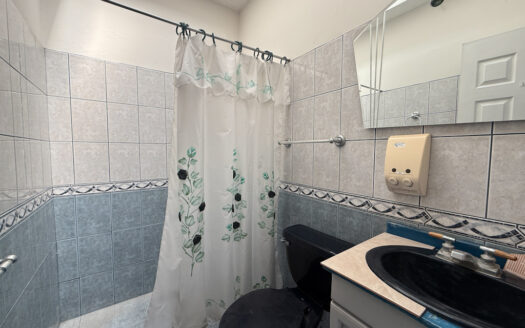 Oportunidad de Propiedad ideal para Casa, Oficinas o Comercio en Guadalupe, Goicoechea COD 139105