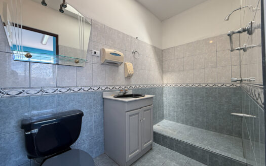 Oportunidad de Propiedad ideal para Casa, Oficinas o Comercio en Guadalupe, Goicoechea COD 139105