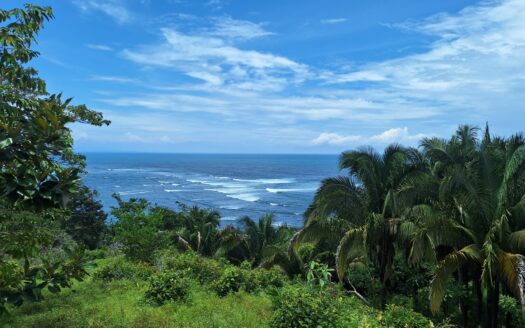 GRAN OPORTUNIDAD DE PARA DESARROLLADORES E INVERSIONISTAS EN EL PACÍFICO CENTRAL – COSTA RICA – Cod. 139291